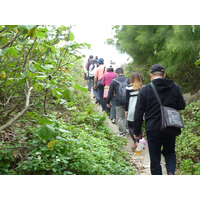 主題:戶外參訪－桃園許厝港及觀音新屋溪口
主講人:臺北市立教育大學地球環境暨生物資源學系　許民陽 教授
時間:13:30-14:30
地點:桃園許厝港及觀音新屋溪口