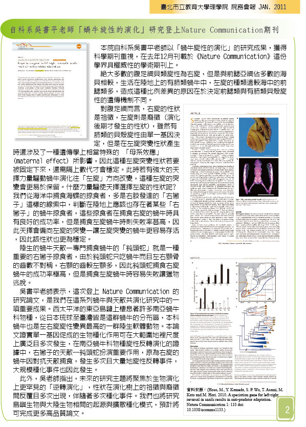 這是一張圖片